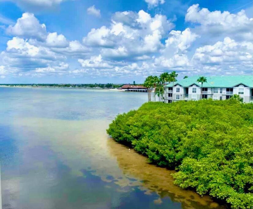 Peaceful Paradise Villa Tampa Exterior photo